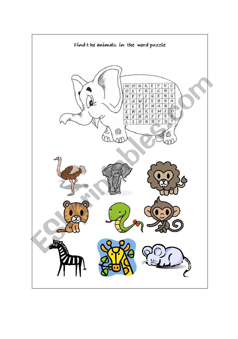 Animals worksheet