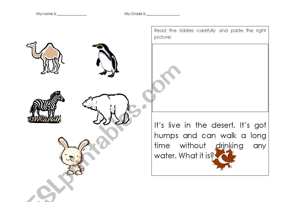 Animals riddles  worksheet
