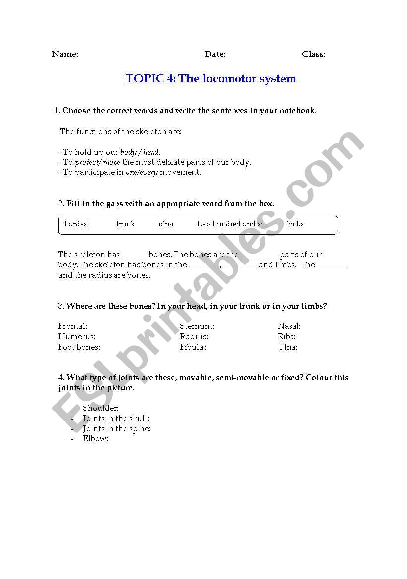 The locomotor system worksheet