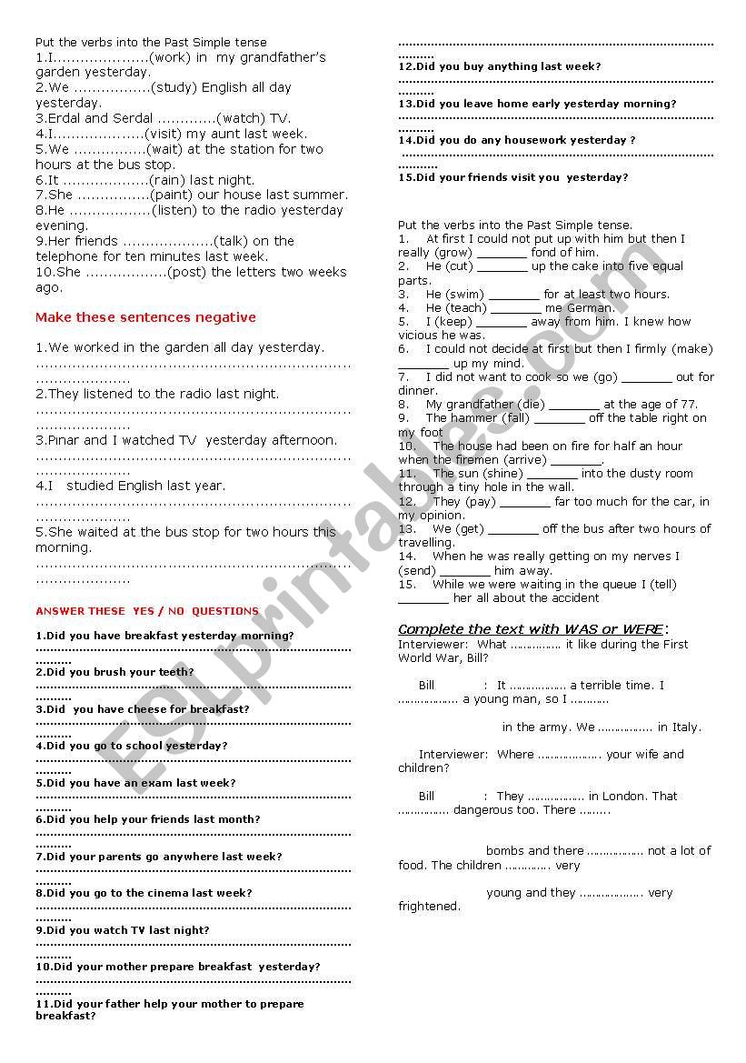 simple past  worksheet