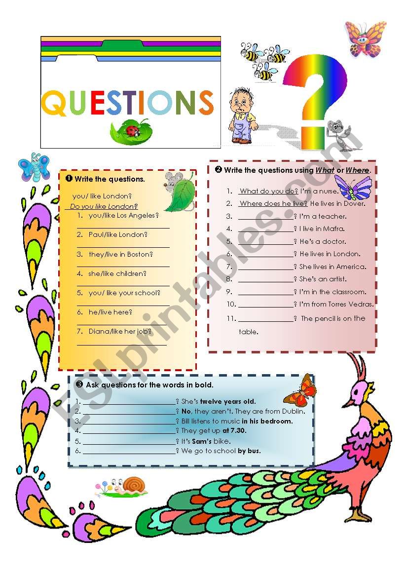 Questions worksheet