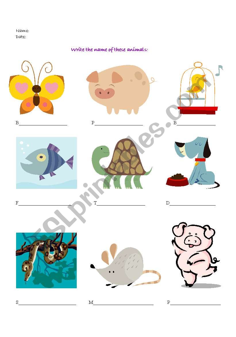 Animals worksheet