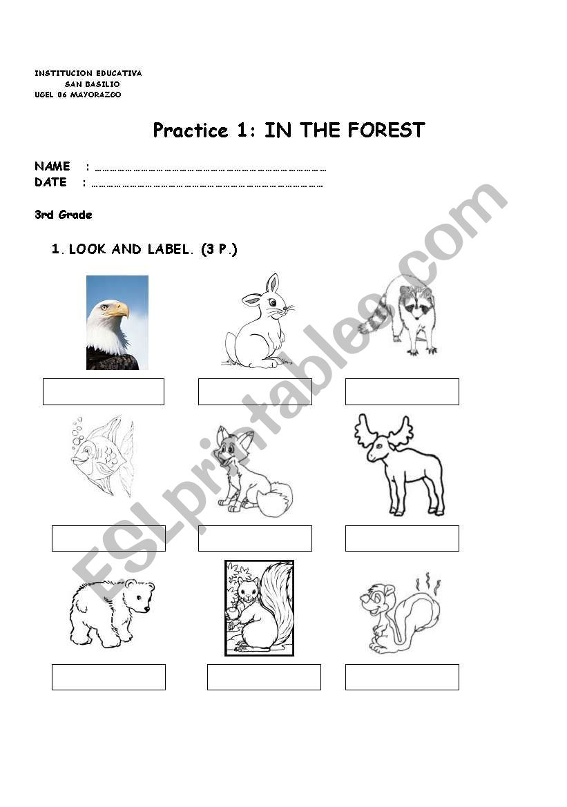 in the forest worksheet