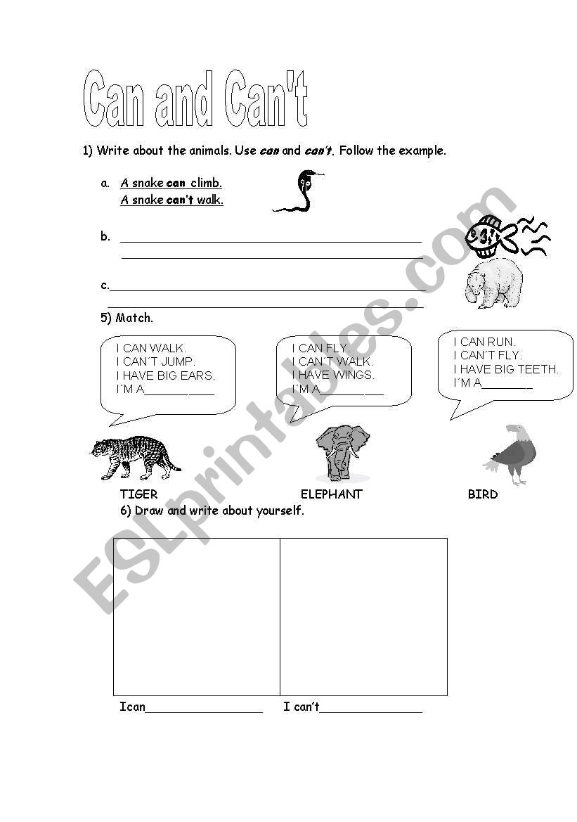 what animals can do! worksheet
