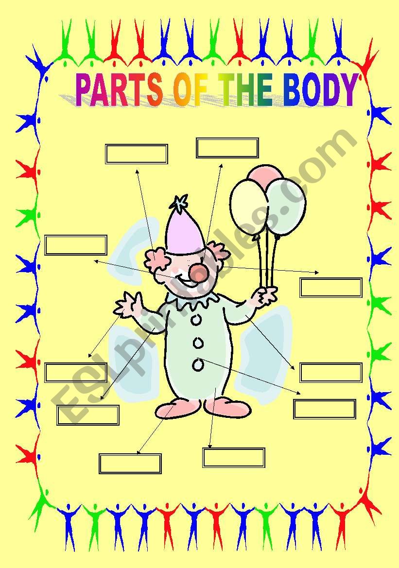 PARTS OF THE BODY worksheet