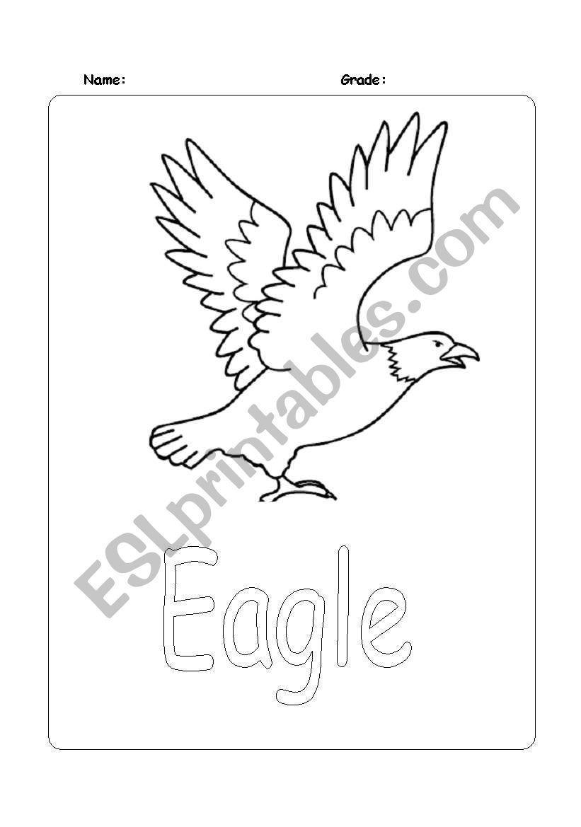 Eagle worksheet
