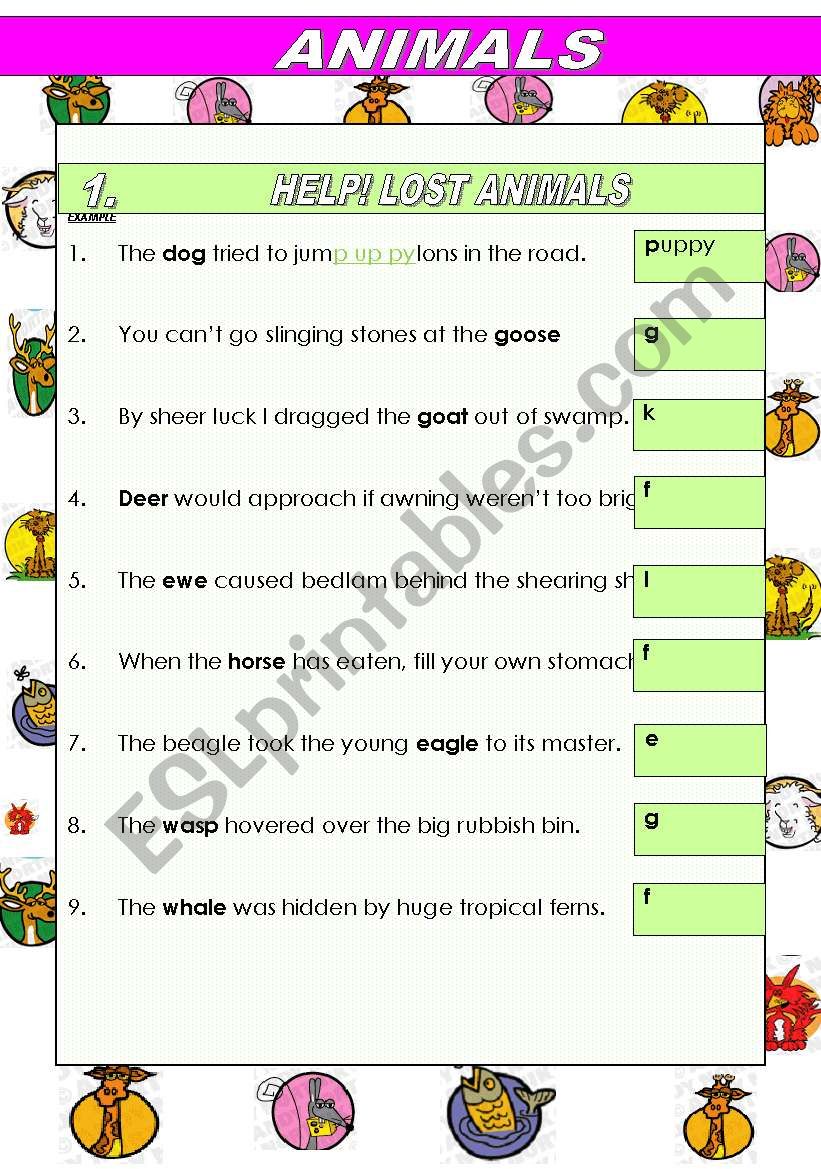 animals worksheet