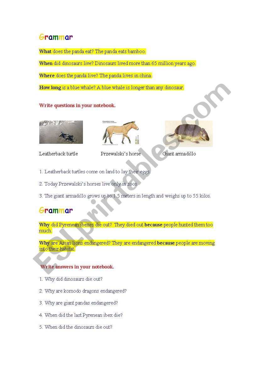 Using where, when and why worksheet