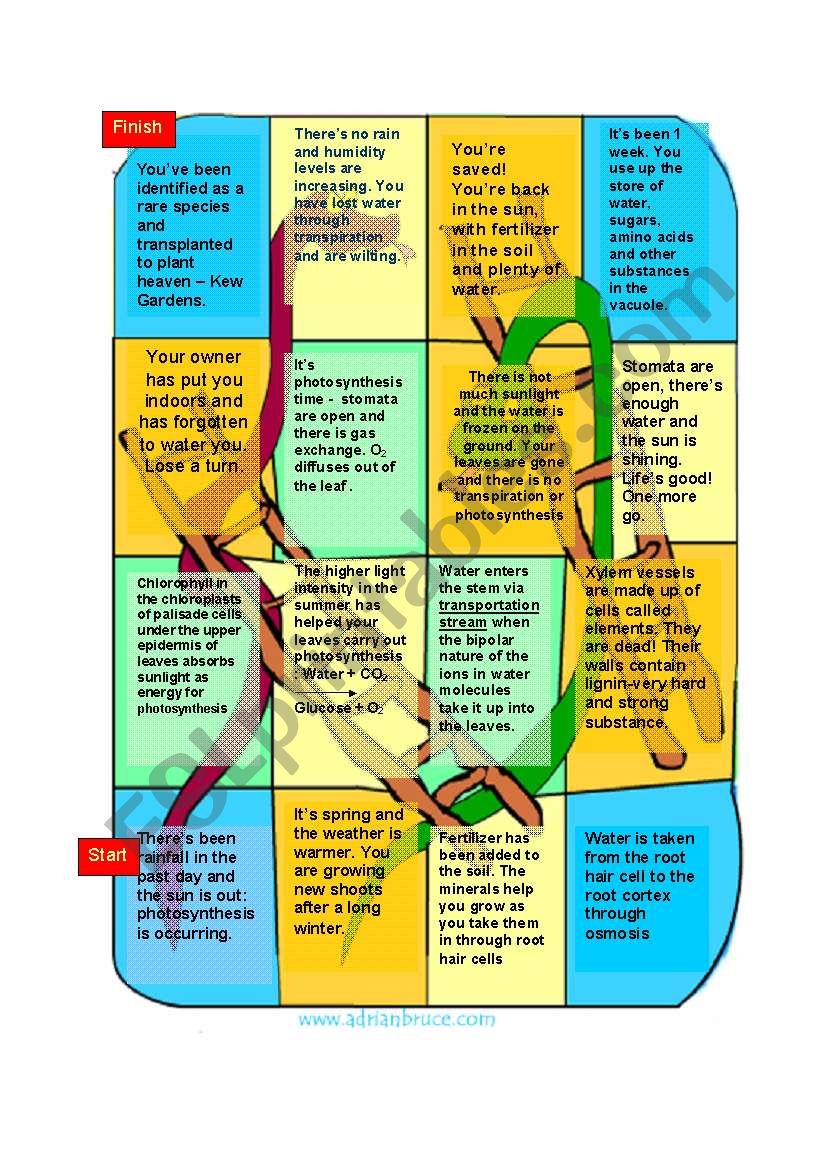 Photosynthesis : Snakes and Ladders Game