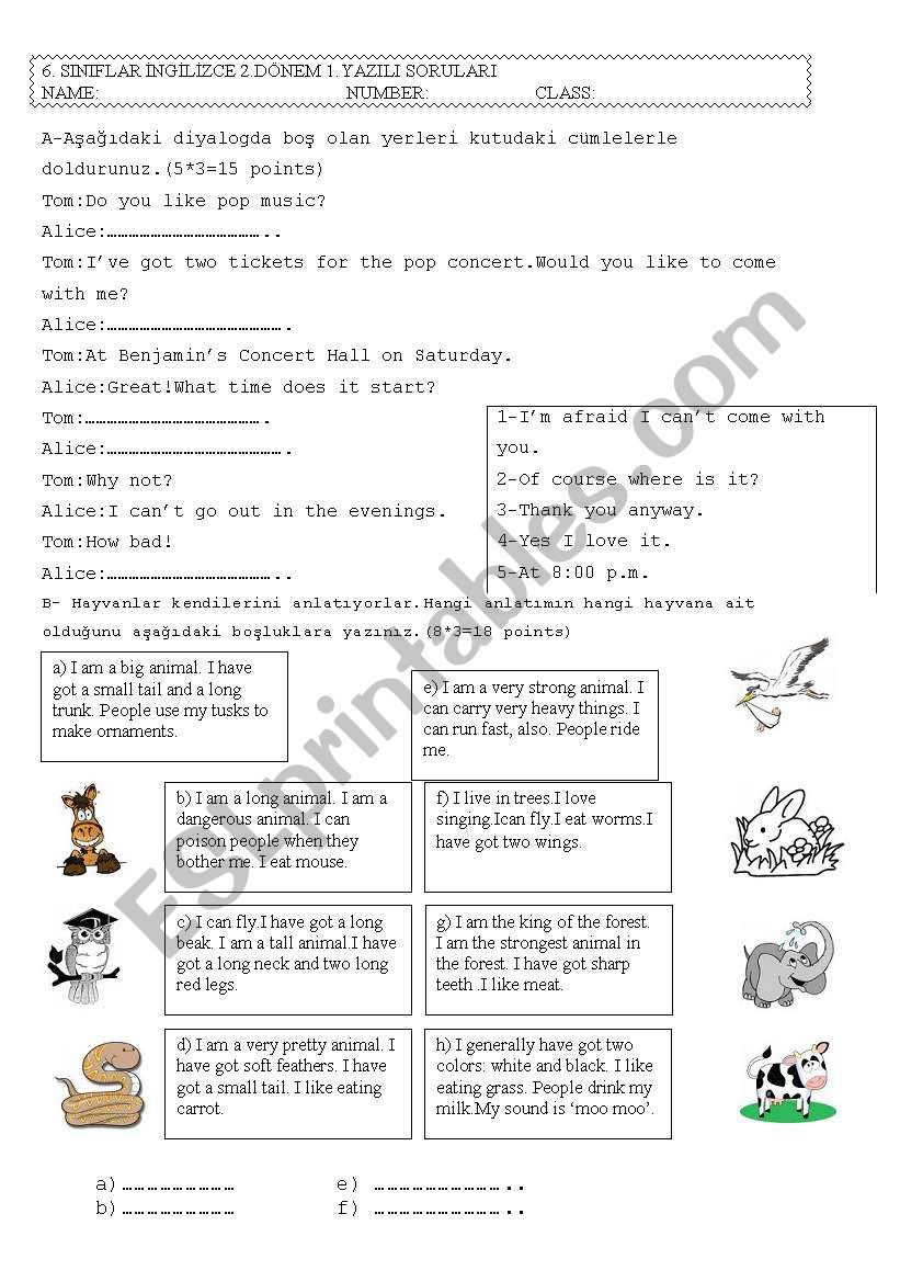 6th grade exam for Turkish students