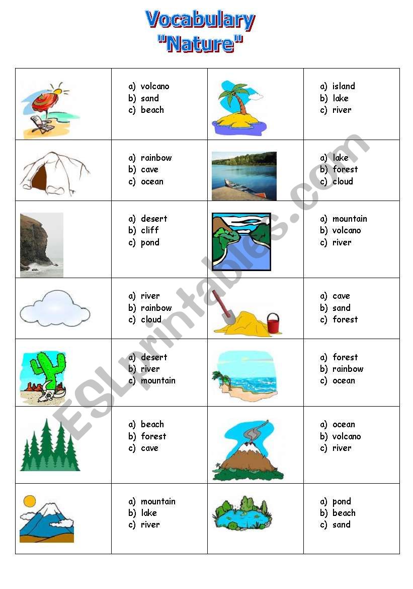 Vocabulary  worksheet