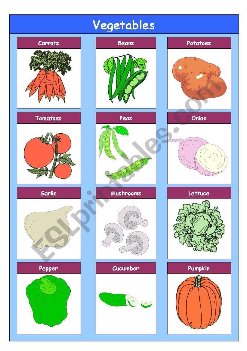 Vegetables worksheet