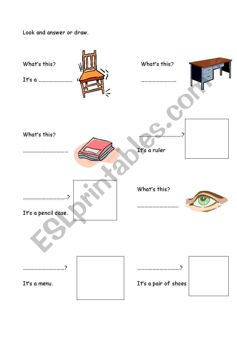 look and answer singular worksheet