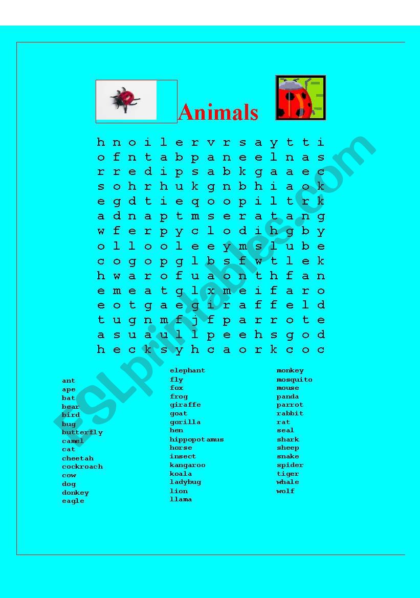 Animal wordsearch worksheet