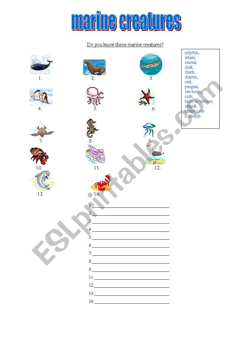 marine creatures worksheet