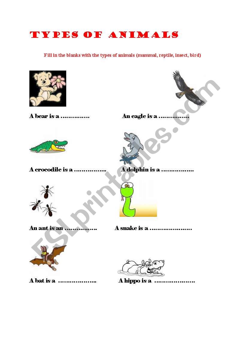 kinds of animals worksheet