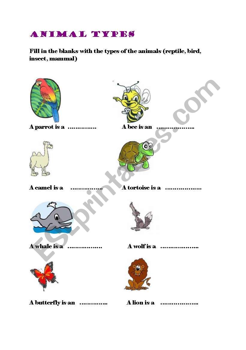 animal kinds 2 worksheet
