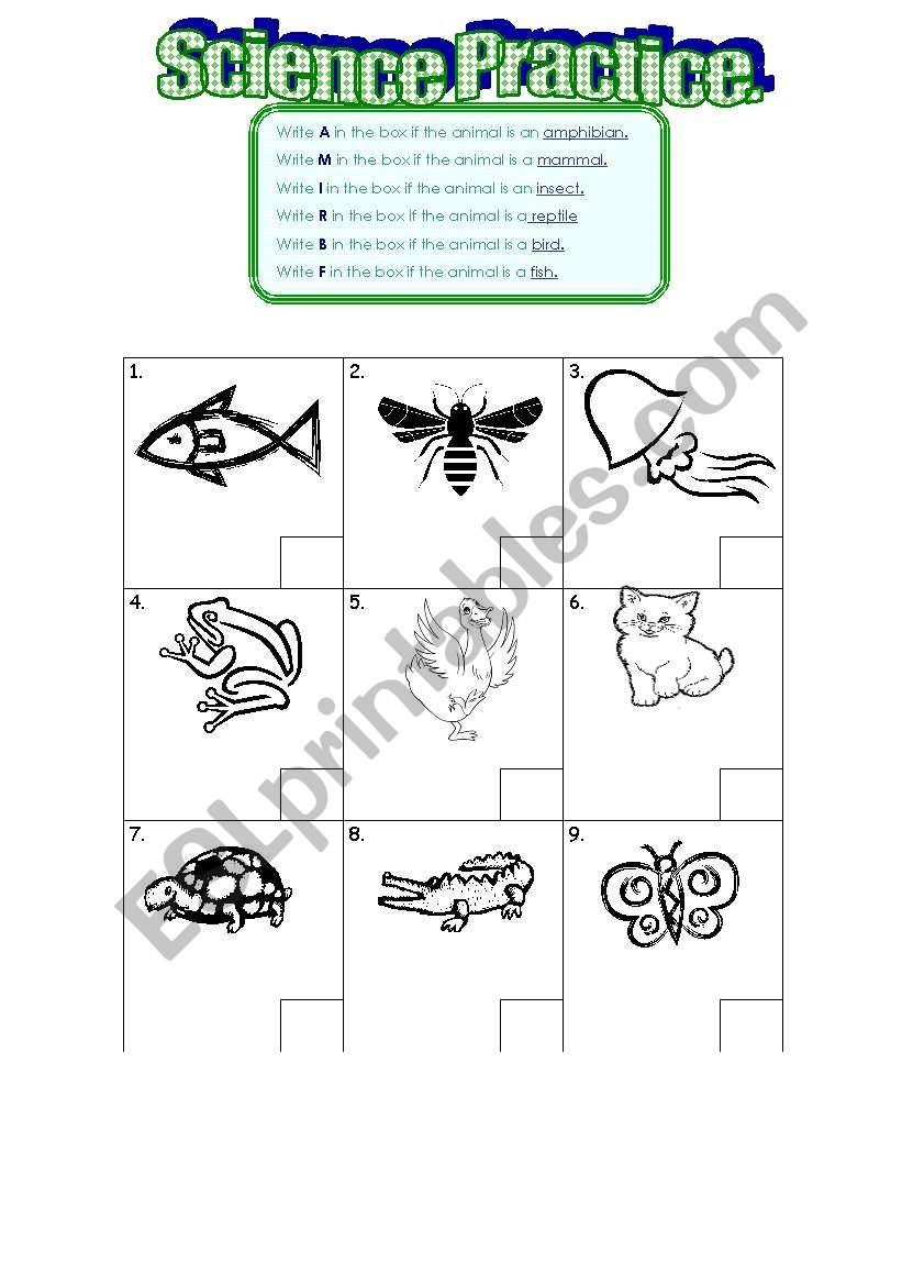 Science Practice worksheet