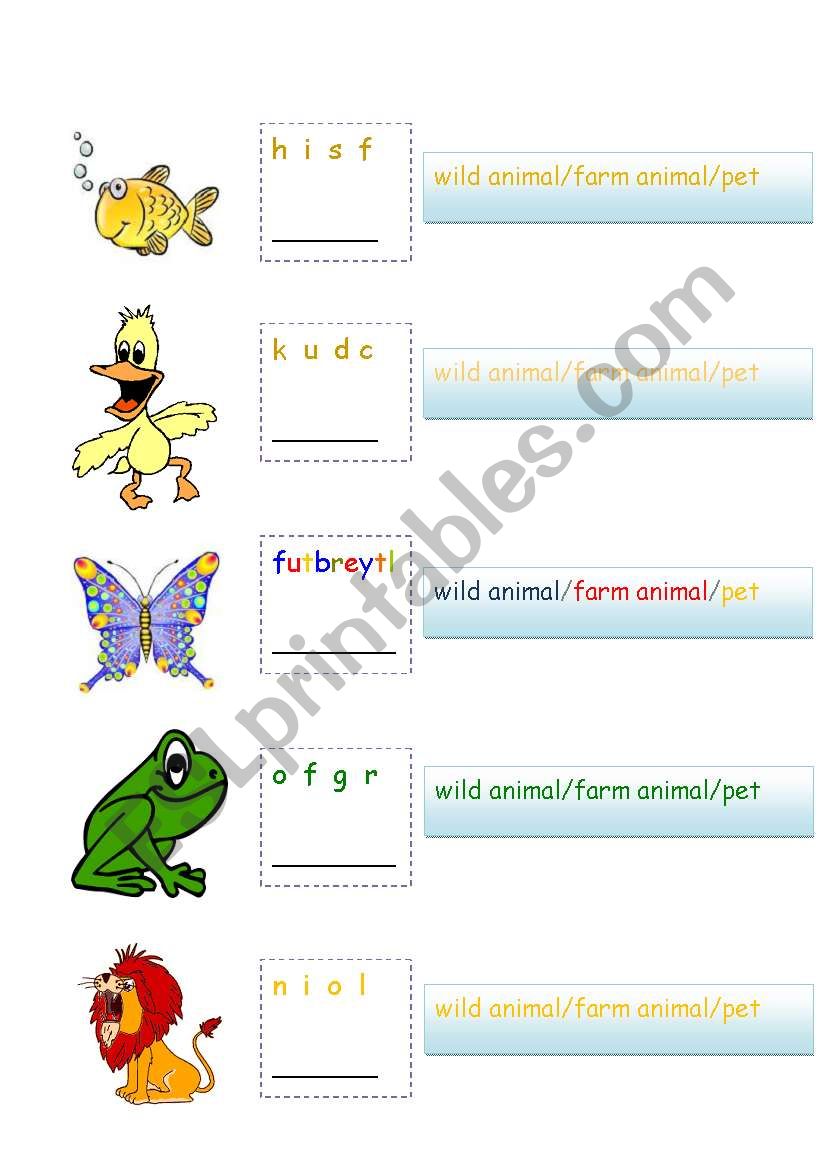 animals anagram worksheet