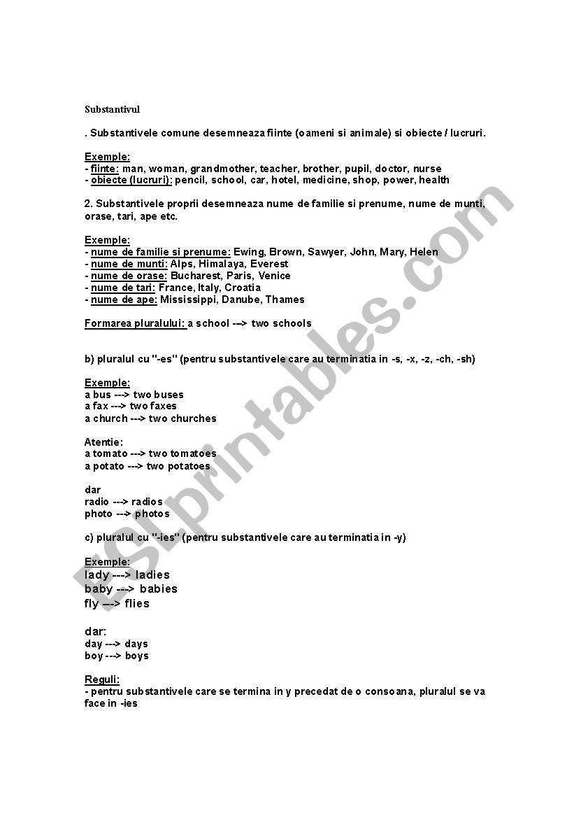 the noun worksheet