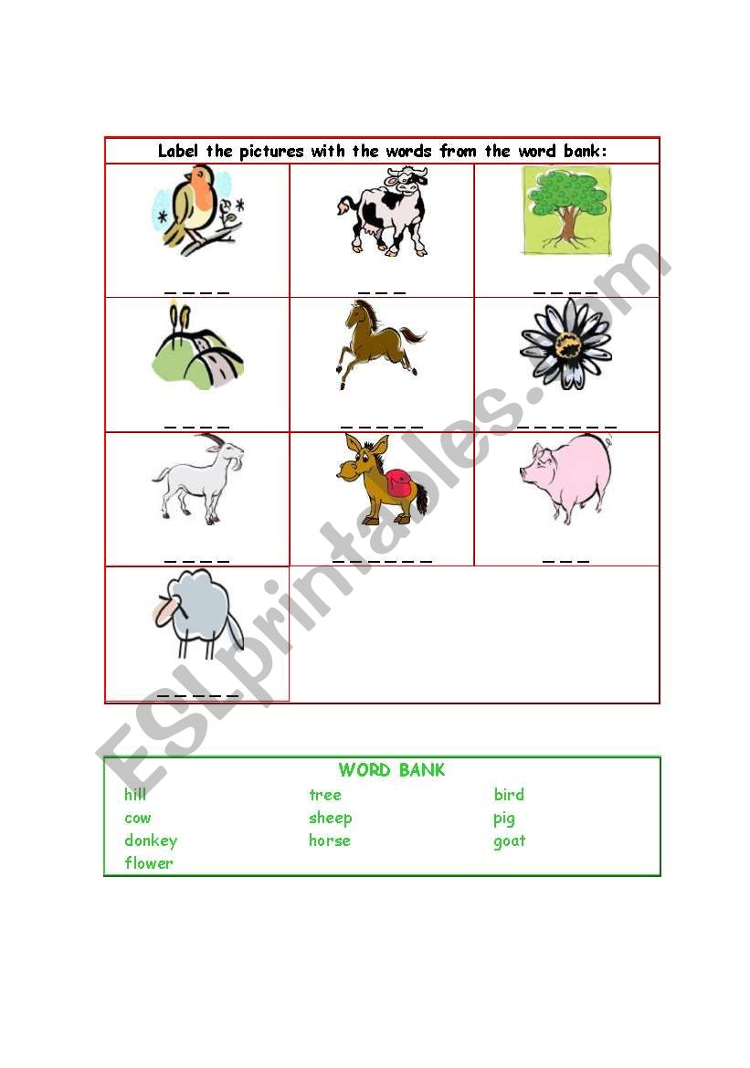 vocabulary worksheet