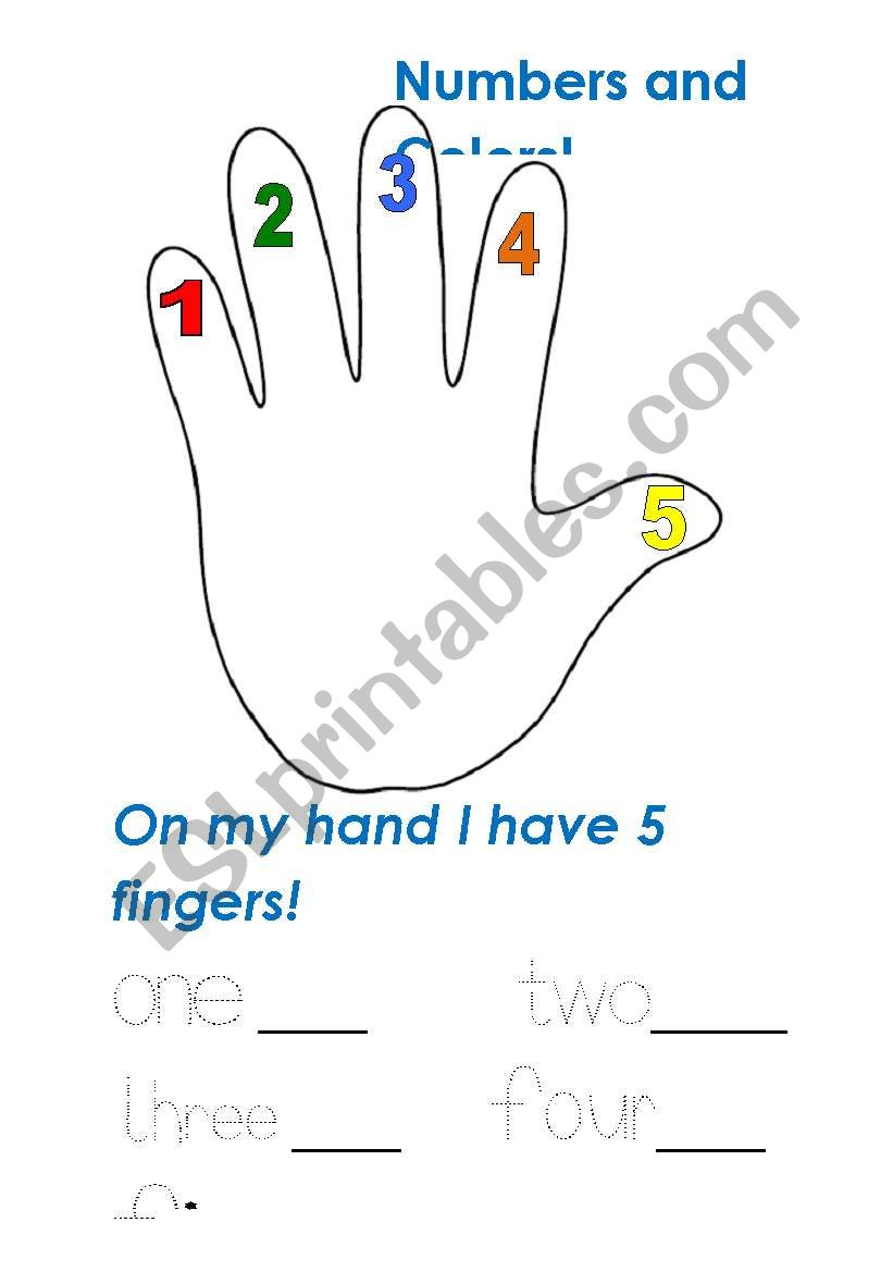 Numbers and colors worksheet