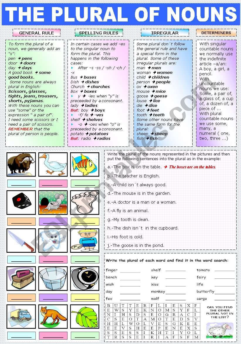 THE PLURAL OF NOUNS worksheet