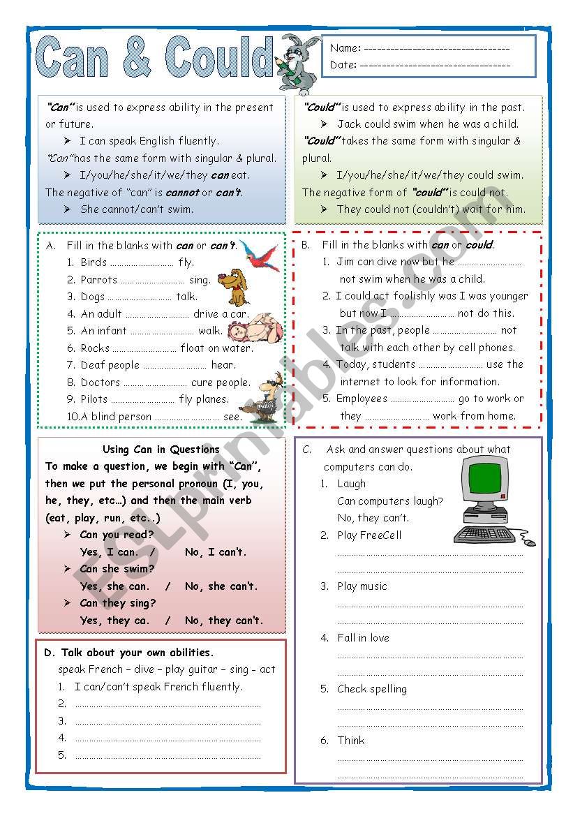 Can & Could worksheet
