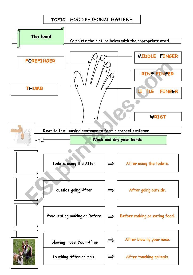 Personal hygiene worksheet