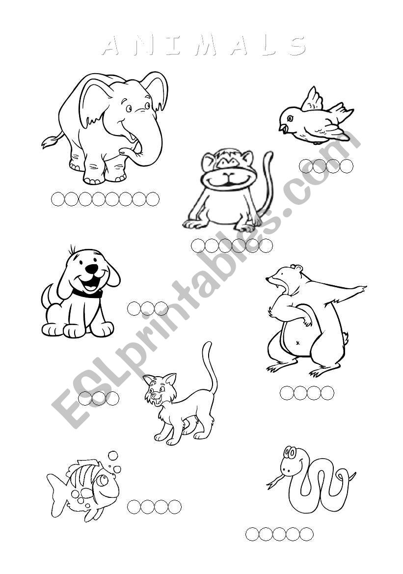 animals worksheet