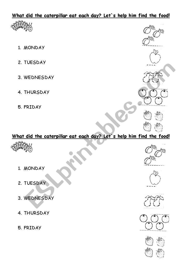 What did the caterpillar eat? worksheet