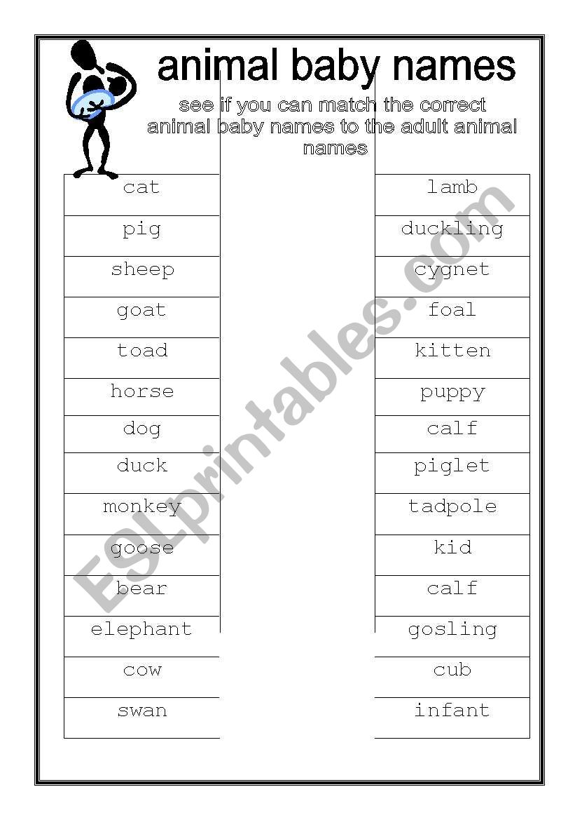 Animal baby names worksheet