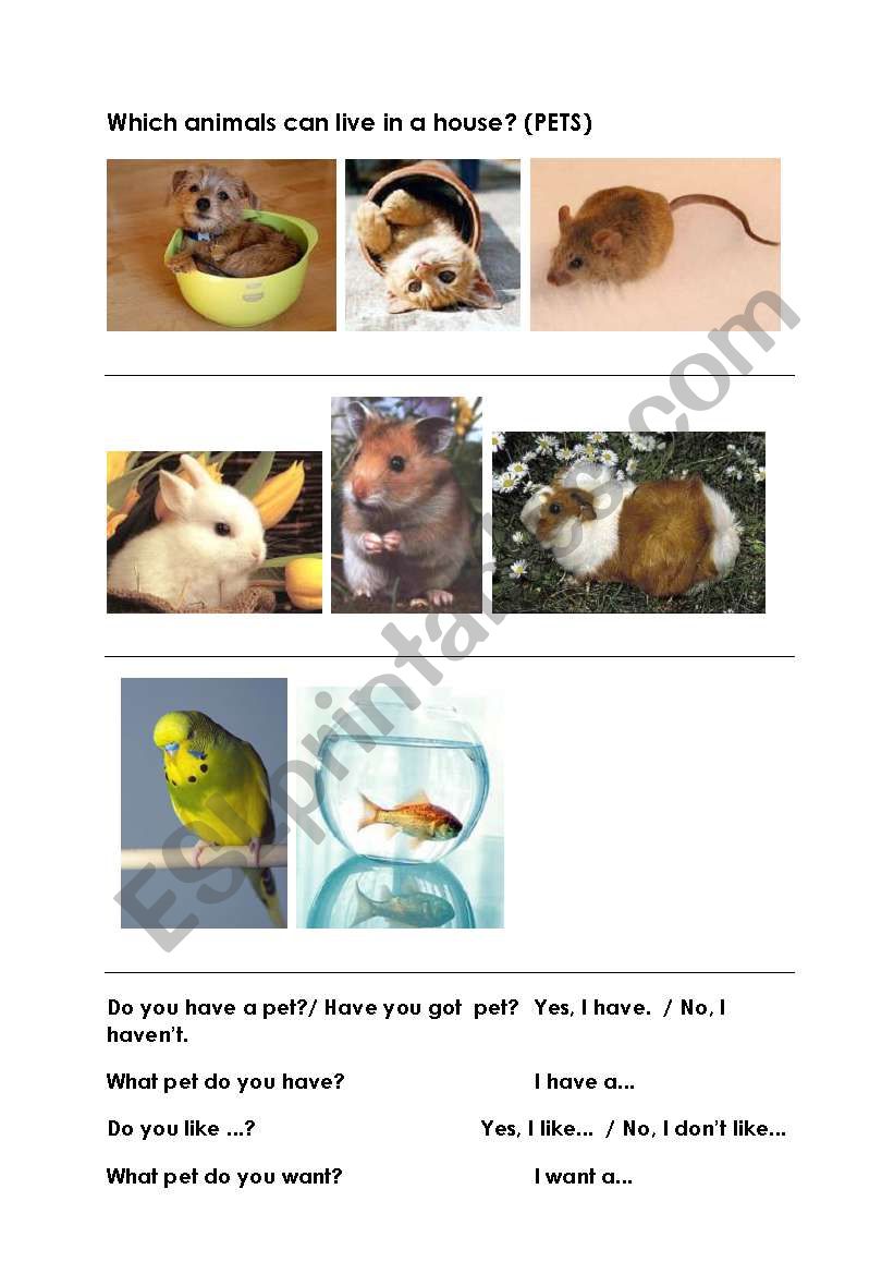 PETS worksheet