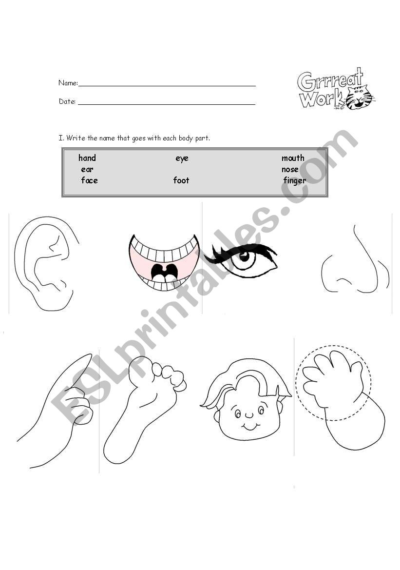 body parts worksheet