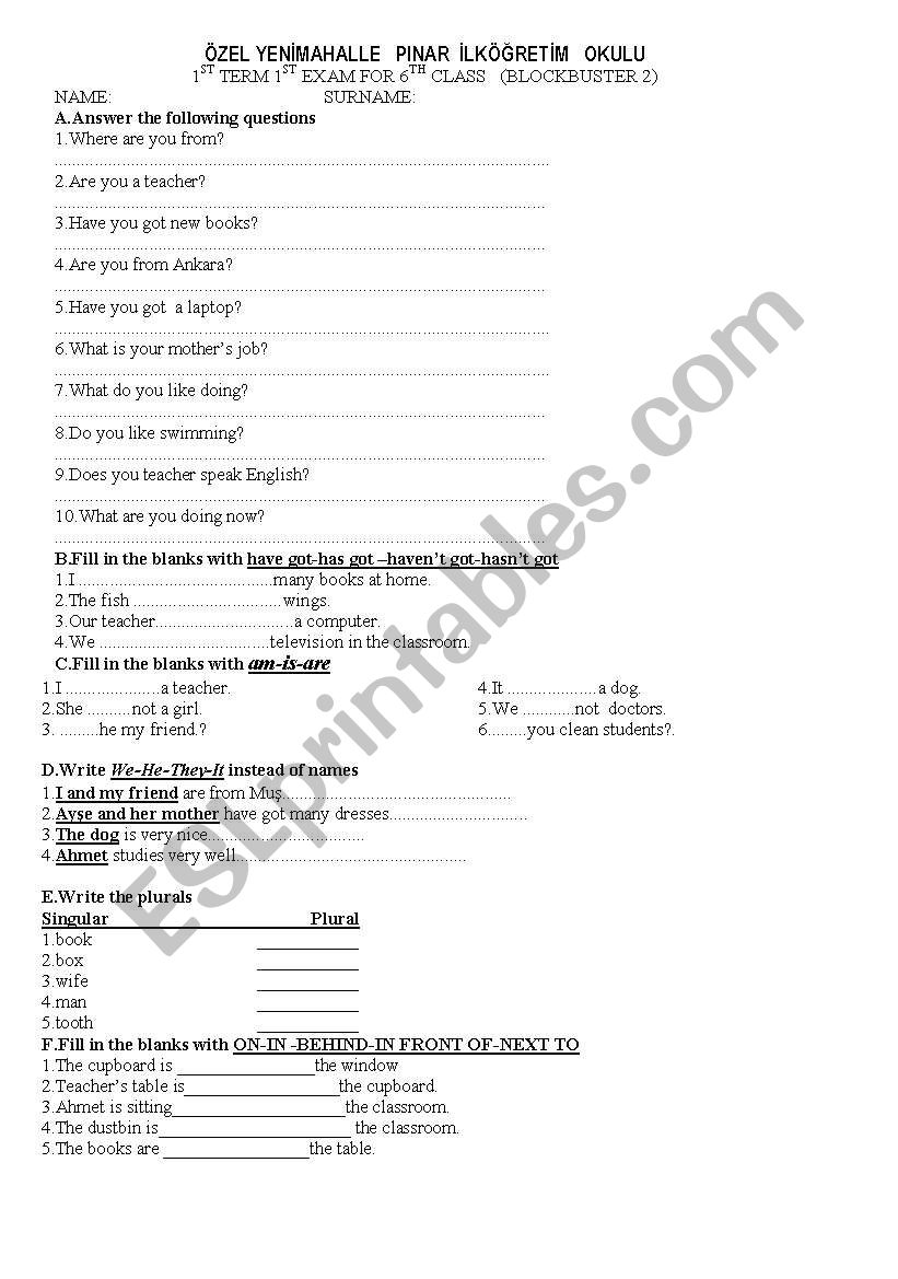 grammar exam worksheet