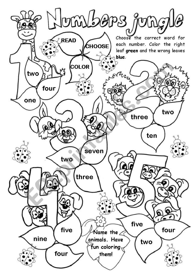 Numbers Jungle (1/2) worksheet