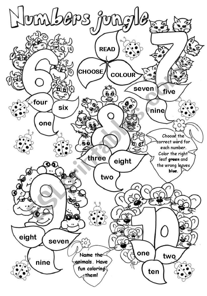 Numbers Jungle (2/2) worksheet