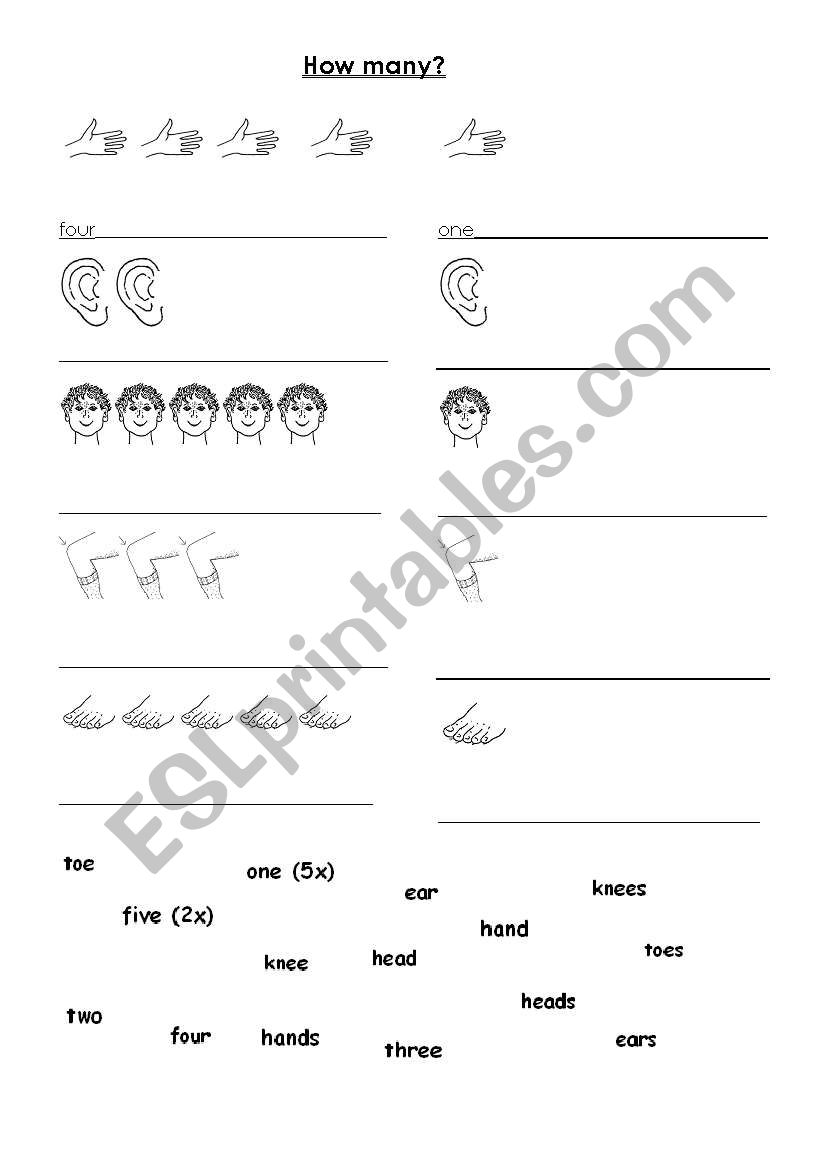 How many are there? worksheet