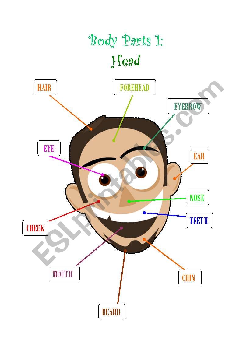 Body Parts1 : Head worksheet