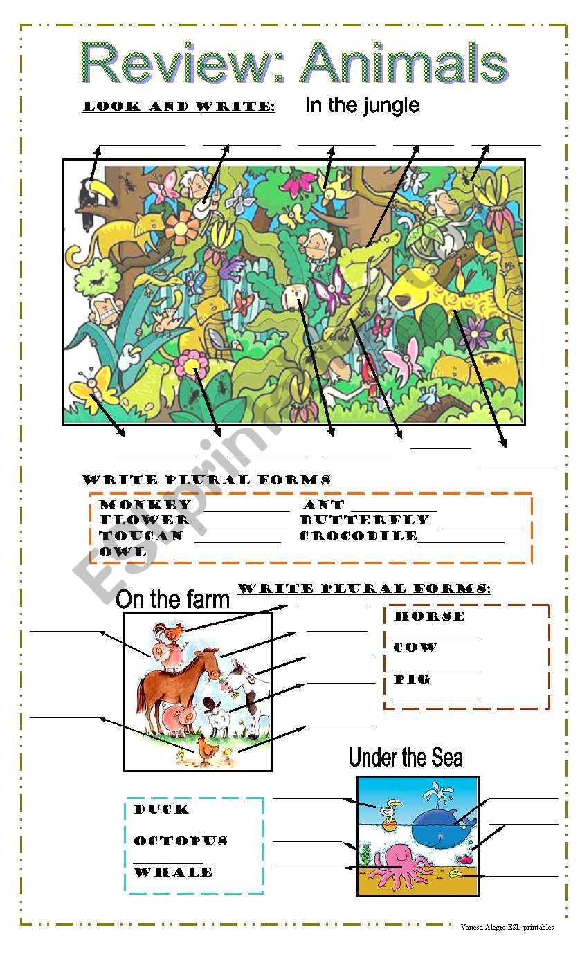 Wild, farm, and sea animals and plurals