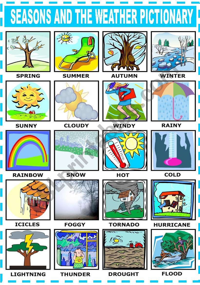 SEASONS AND THE WEATHER - PICTIONARY