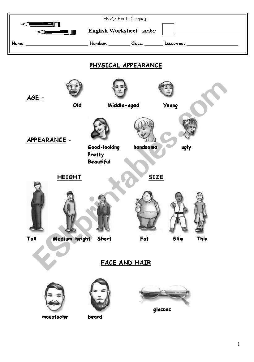 Physical appearance worksheet