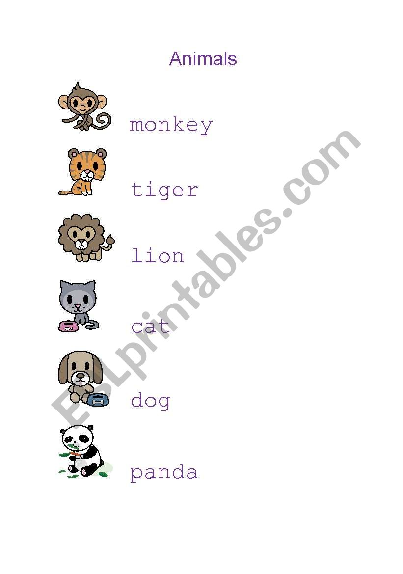 animals worksheet