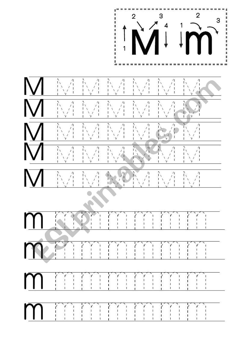 Kindergarten Basic Foundation M-O