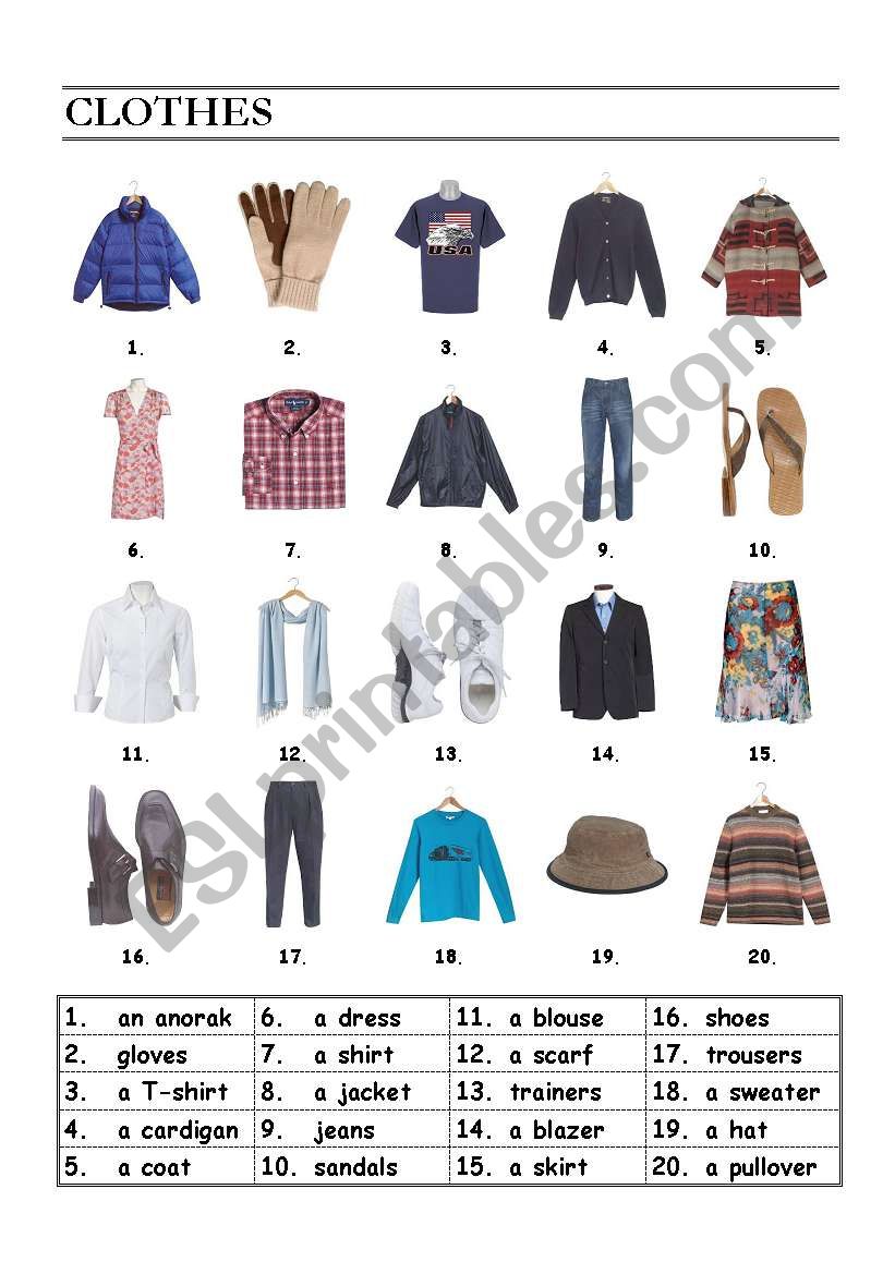 Clothes worksheet