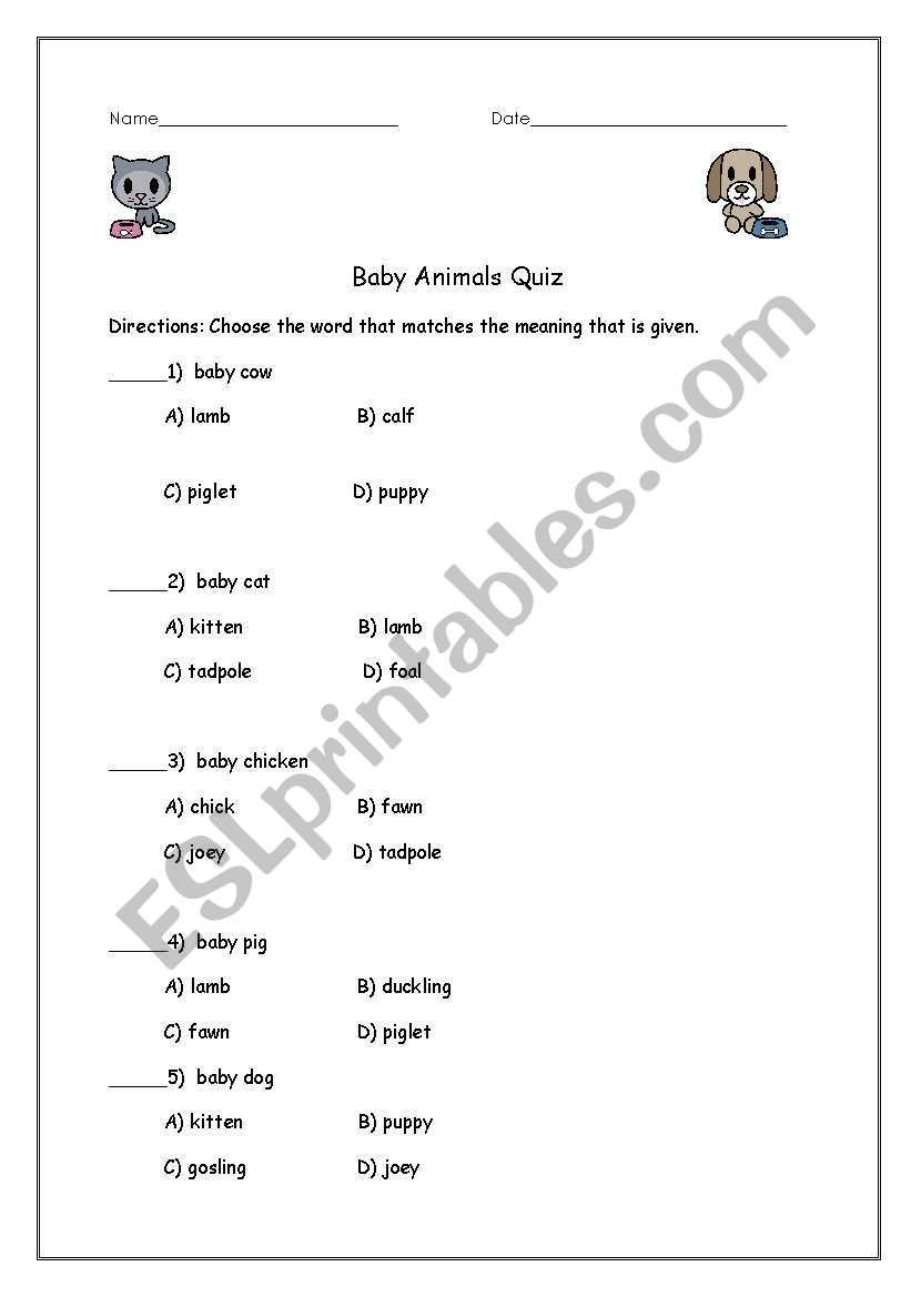 baby animals worksheet