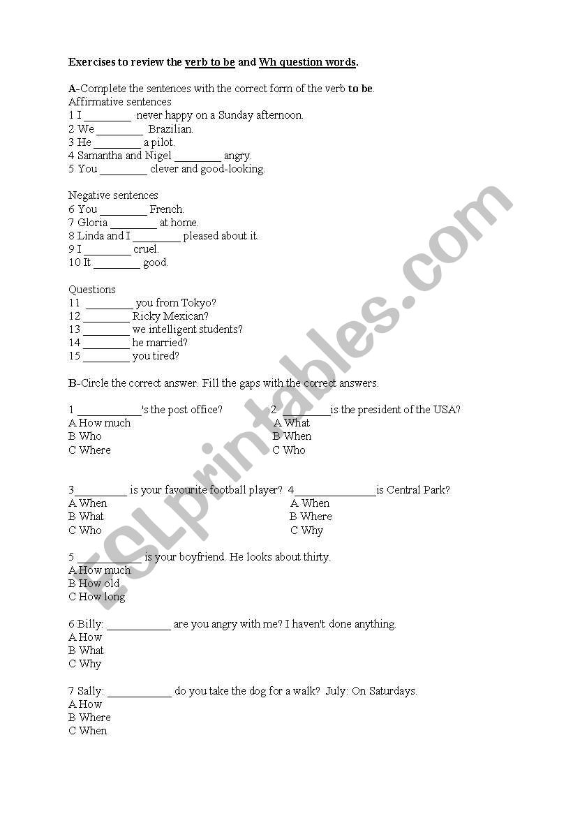 Verb to be and wh questions worksheet