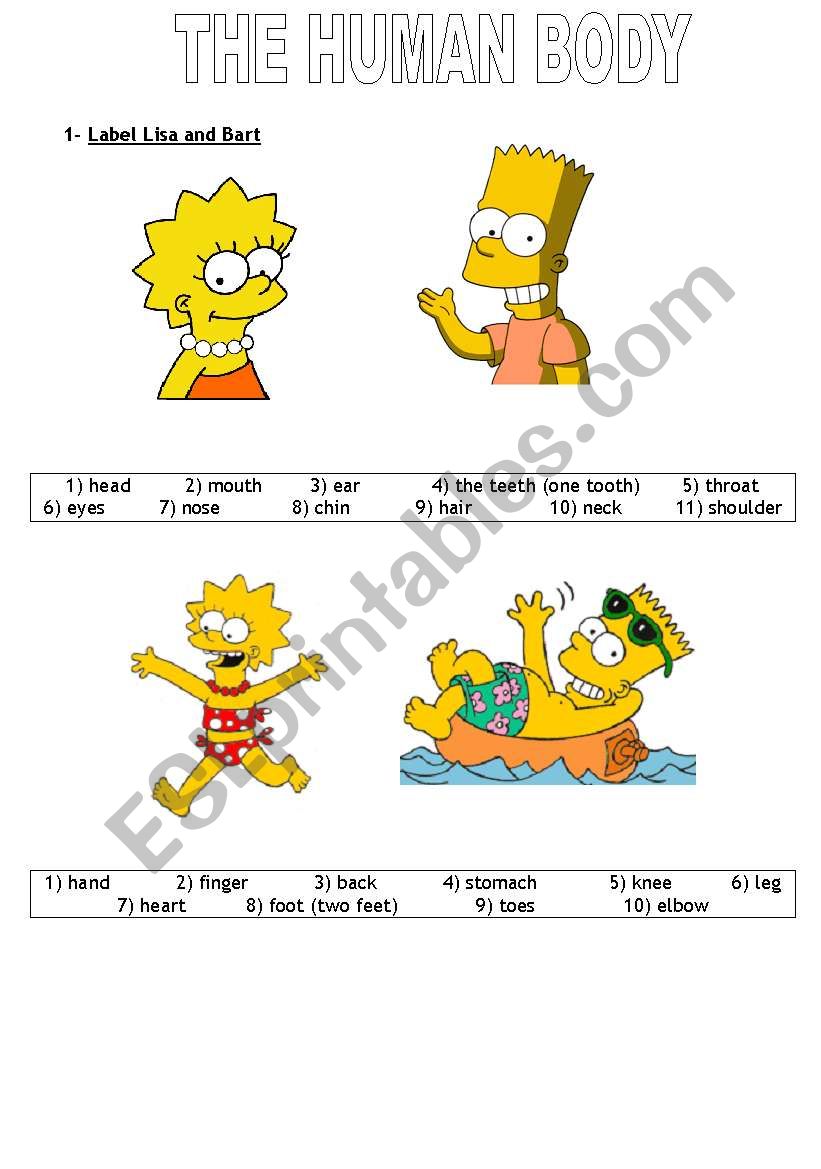 human body to label worksheet