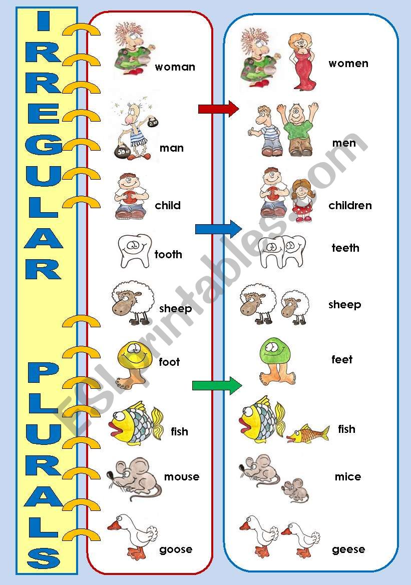 IRREGULAR PLURALS - CLASSROOM POSTER (OR A FLASH-CARD)