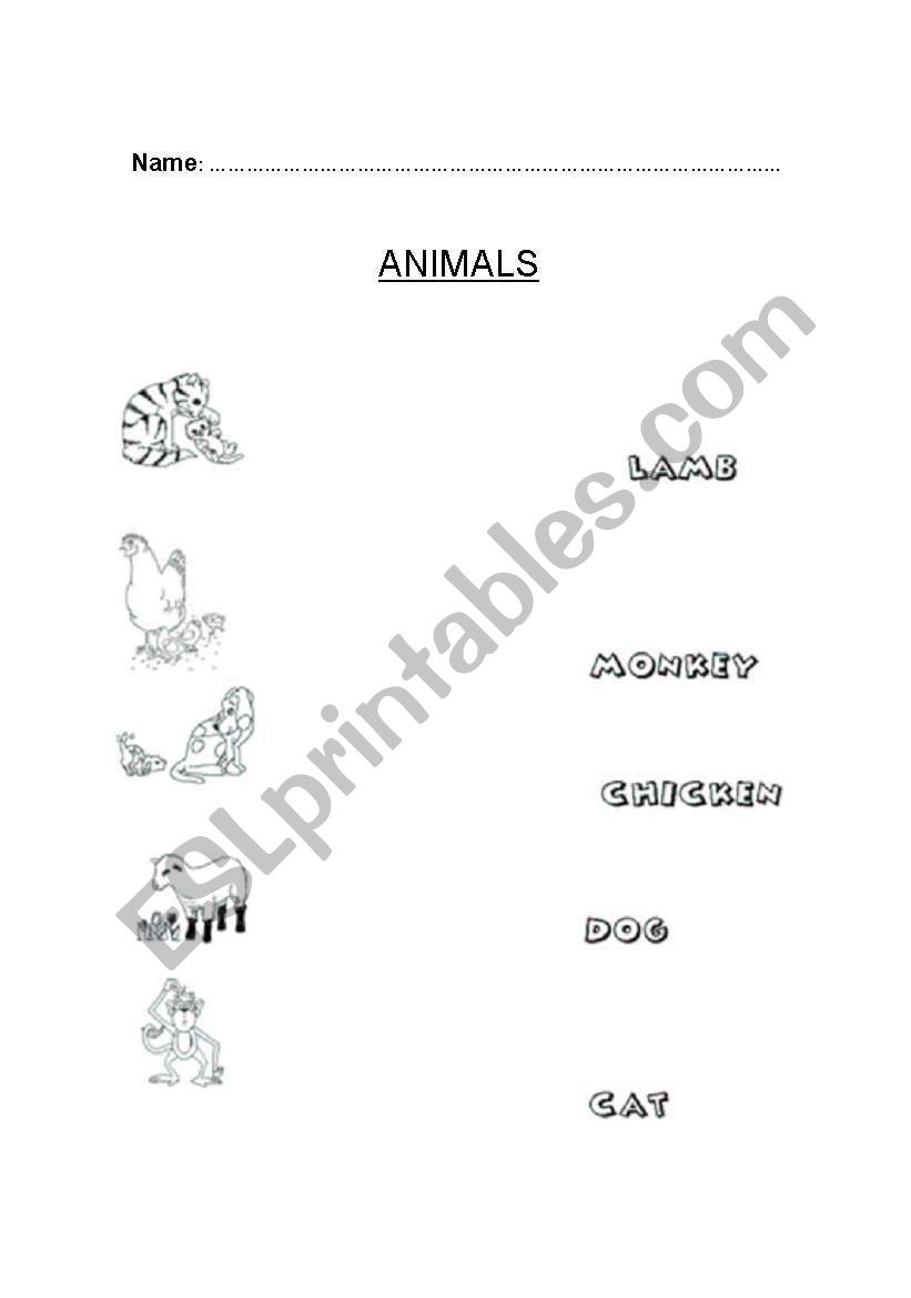 Animals matching worksheet